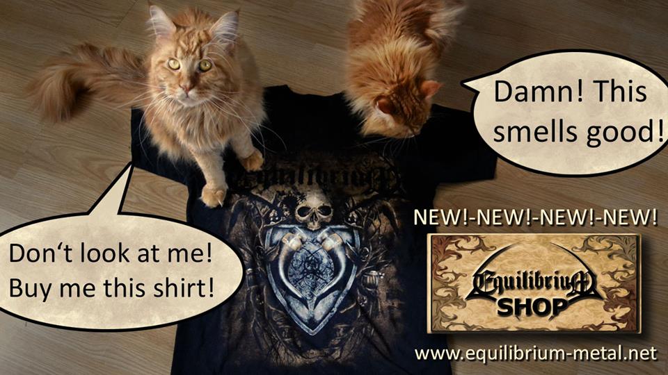 New Equilibrium Shop online!